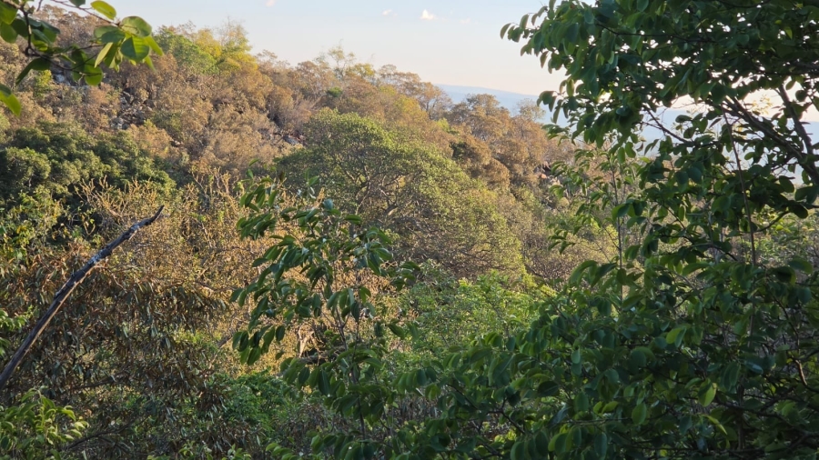 0 Bedroom Property for Sale in Verloren Estate Limpopo