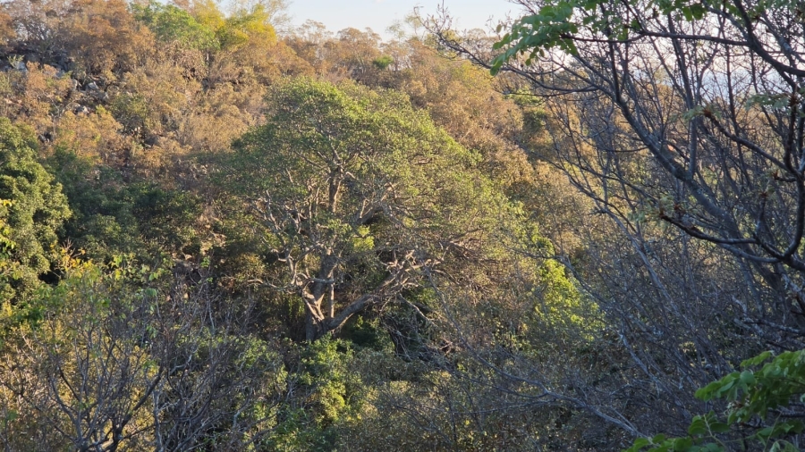 0 Bedroom Property for Sale in Verloren Estate Limpopo