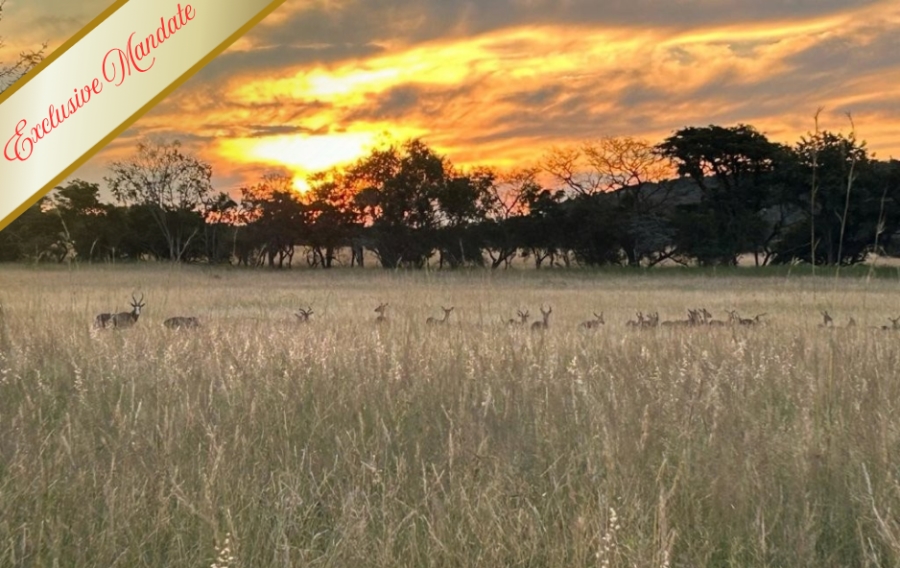 0 Bedroom Property for Sale in Verloren Estate Limpopo