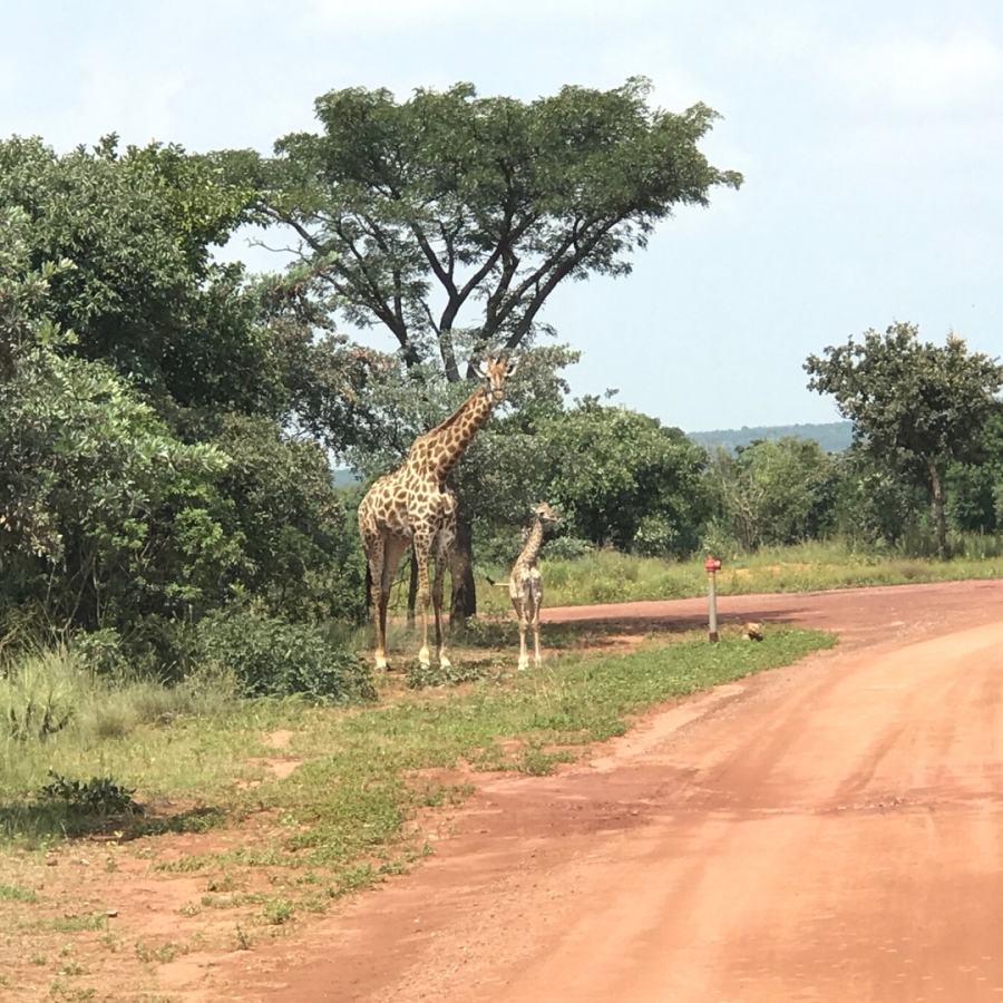0 Bedroom Property for Sale in Verloren Estate Limpopo