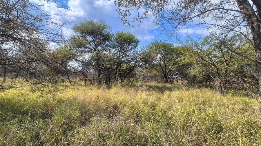 0 Bedroom Property for Sale in Euphoria Golf Estate Limpopo