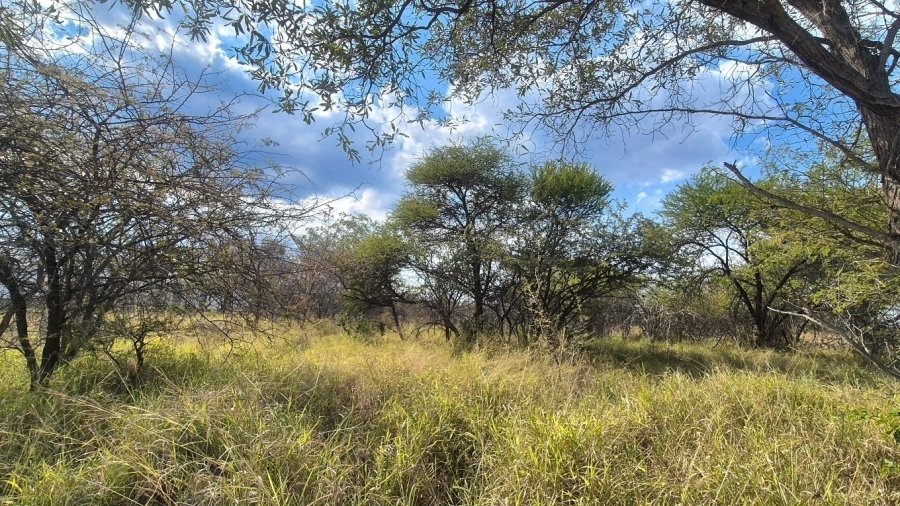 0 Bedroom Property for Sale in Euphoria Golf Estate Limpopo