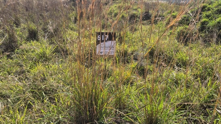 0 Bedroom Property for Sale in Euphoria Golf Estate Limpopo