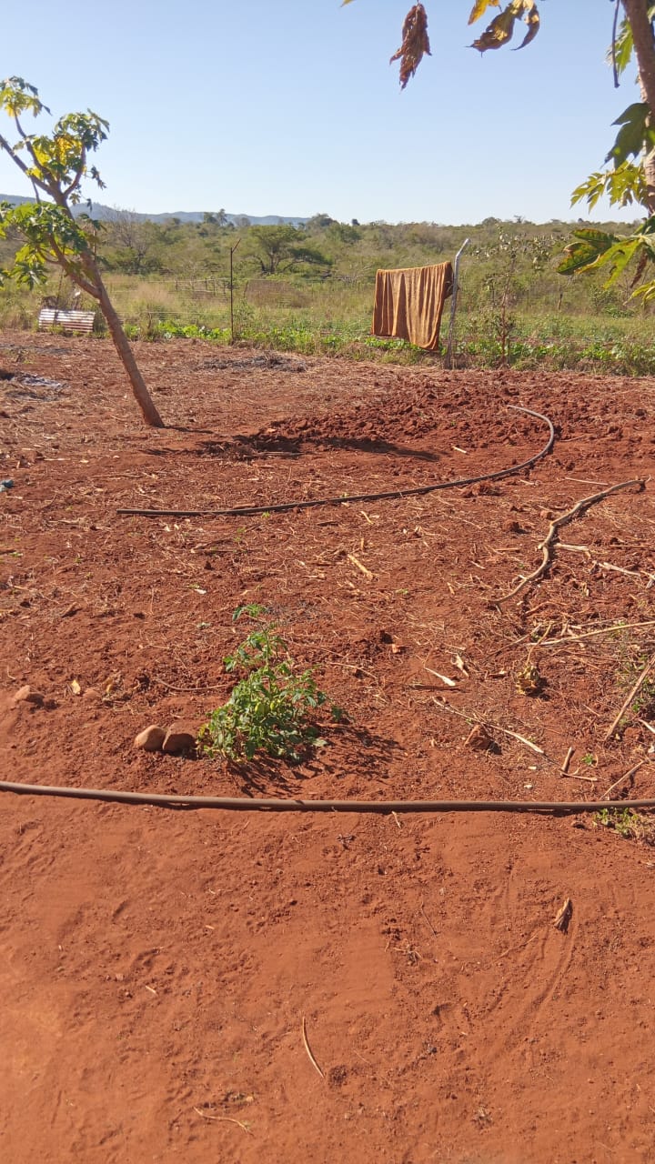 5 Bedroom Property for Sale in Tshifudi Limpopo