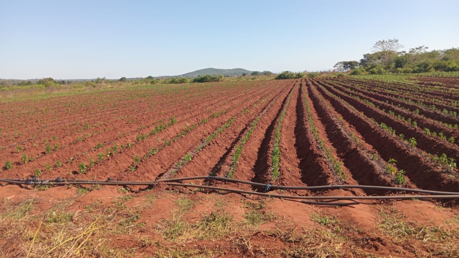 5 Bedroom Property for Sale in Tshifudi Limpopo