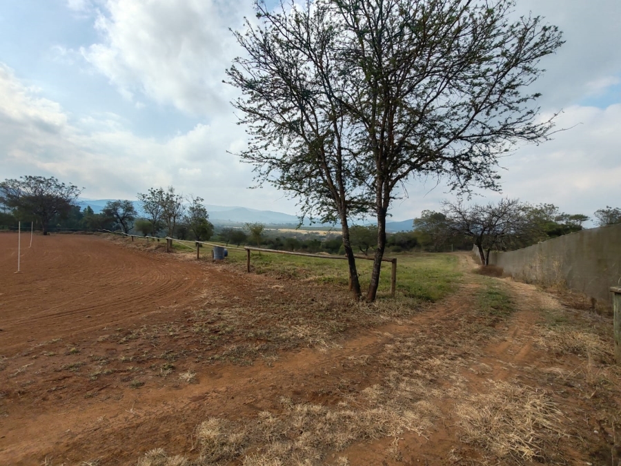 1 Bedroom Property for Sale in Louis Trichardt Limpopo