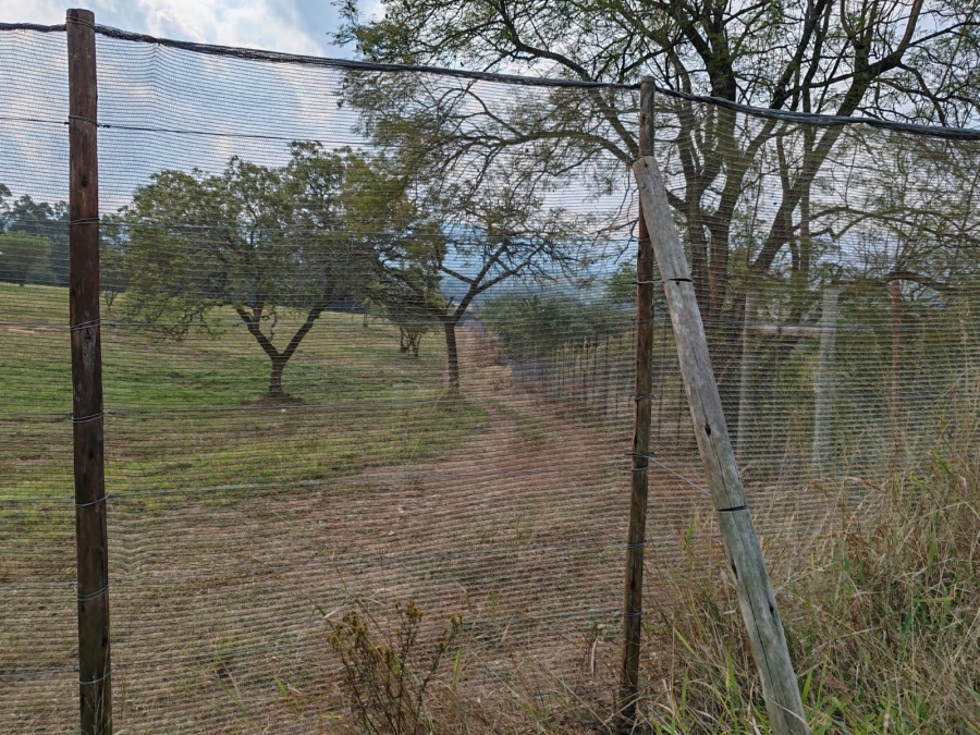 1 Bedroom Property for Sale in Louis Trichardt Limpopo