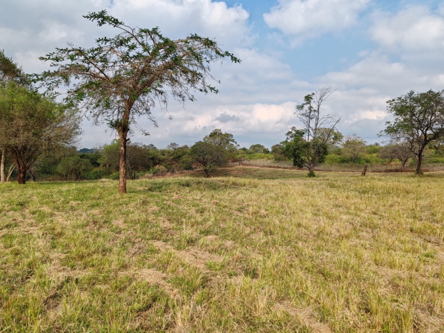 1 Bedroom Property for Sale in Louis Trichardt Limpopo