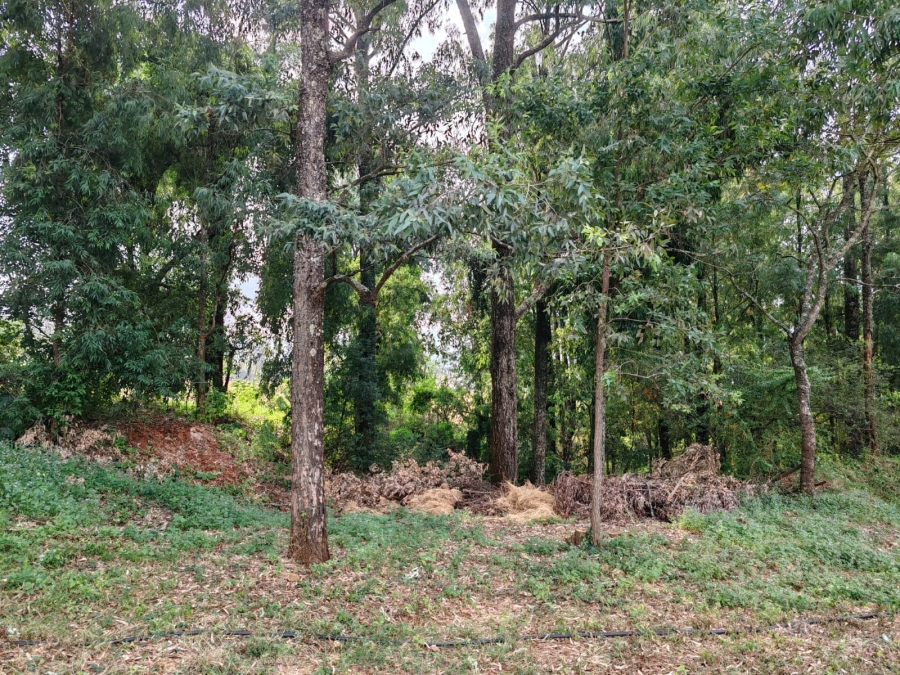 1 Bedroom Property for Sale in Louis Trichardt Limpopo