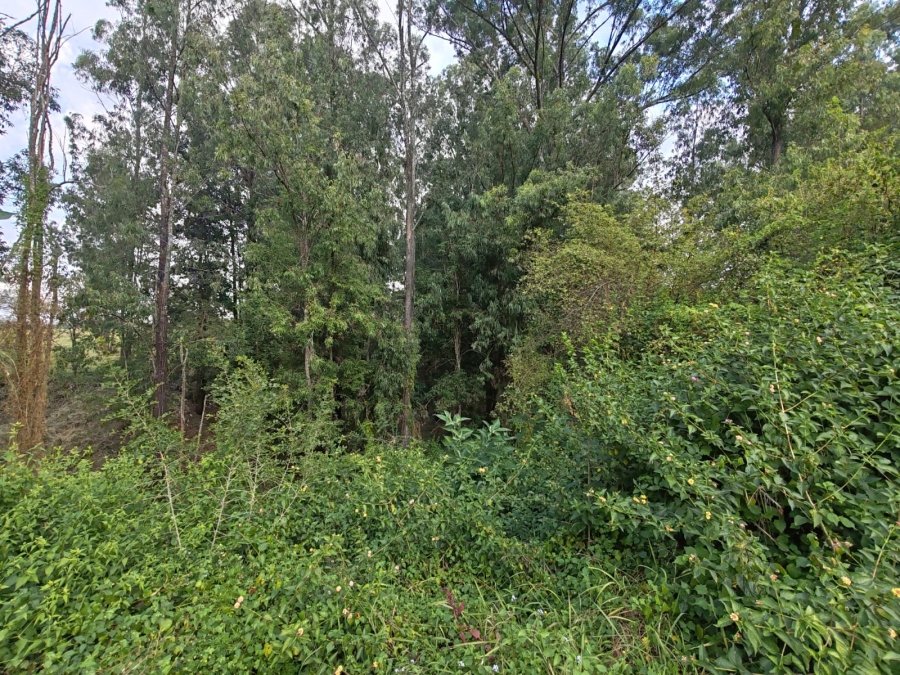 1 Bedroom Property for Sale in Louis Trichardt Limpopo