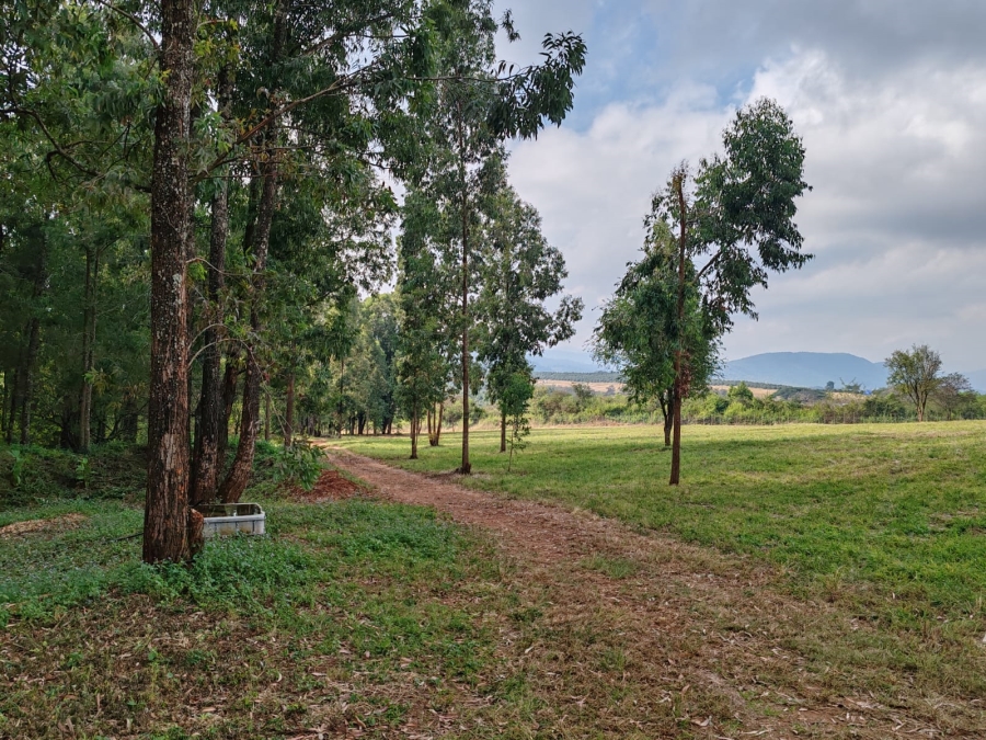 1 Bedroom Property for Sale in Louis Trichardt Limpopo