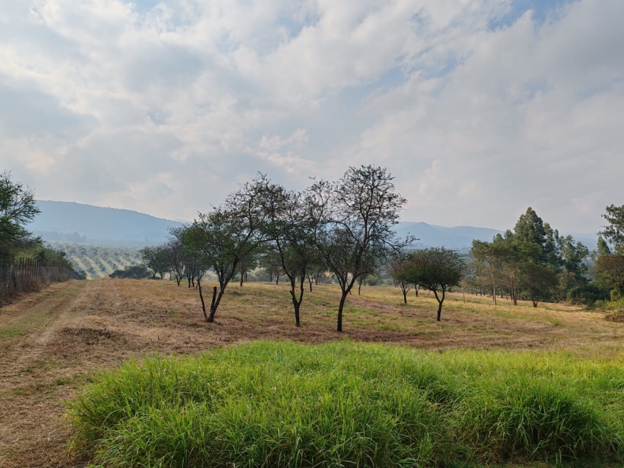 1 Bedroom Property for Sale in Louis Trichardt Limpopo