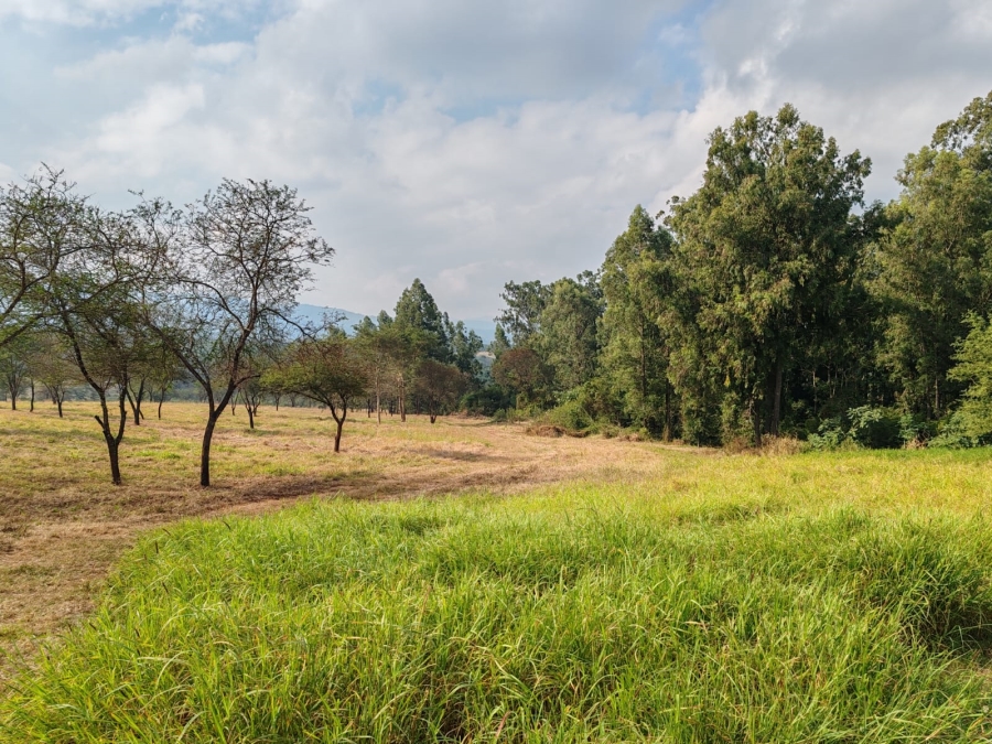 1 Bedroom Property for Sale in Louis Trichardt Limpopo