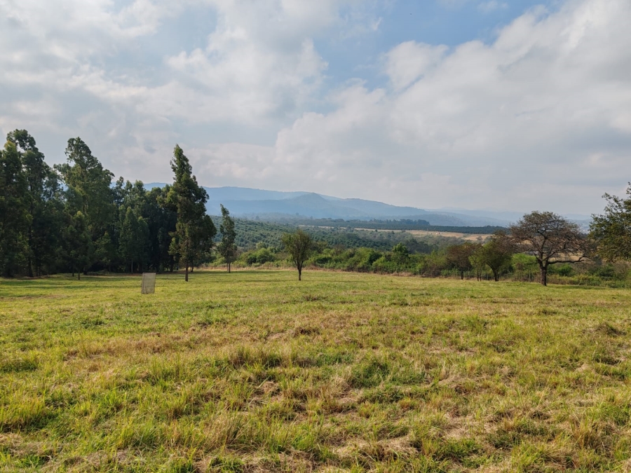 1 Bedroom Property for Sale in Louis Trichardt Limpopo