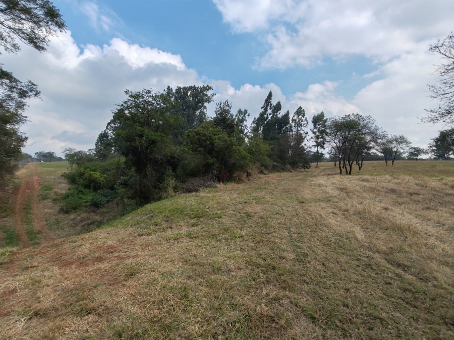 1 Bedroom Property for Sale in Louis Trichardt Limpopo