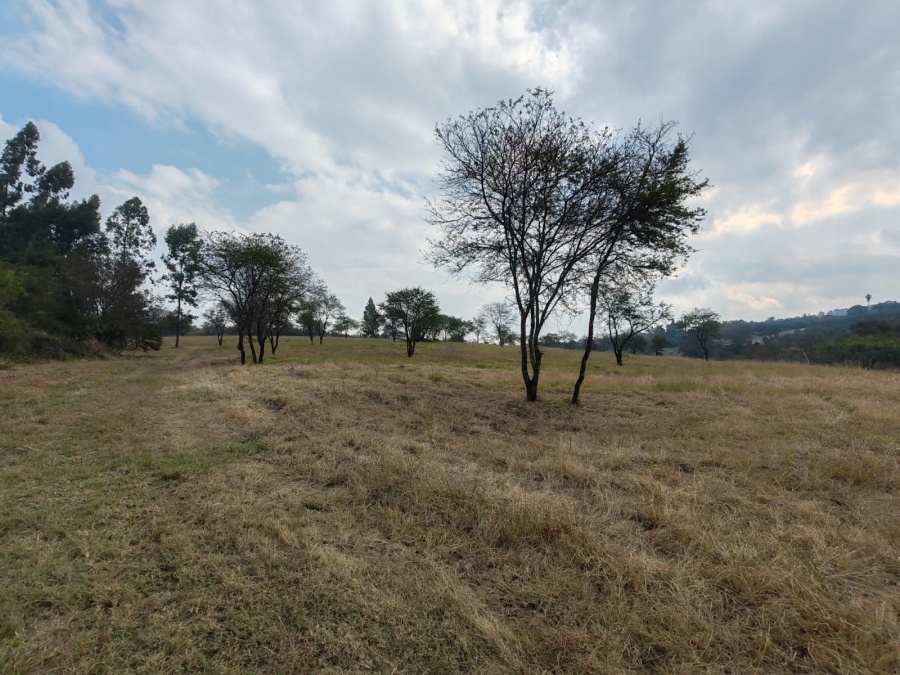 1 Bedroom Property for Sale in Louis Trichardt Limpopo