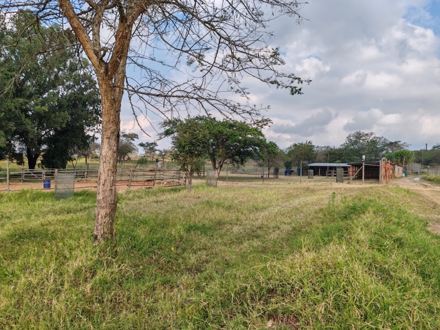 1 Bedroom Property for Sale in Louis Trichardt Limpopo
