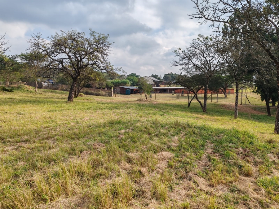 1 Bedroom Property for Sale in Louis Trichardt Limpopo