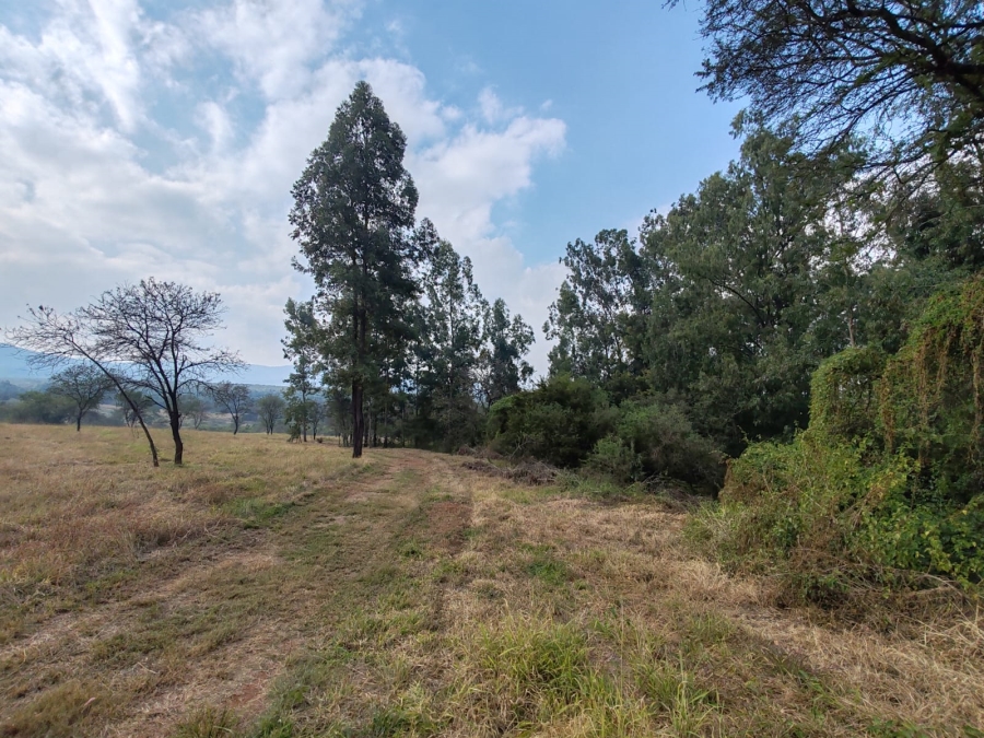 1 Bedroom Property for Sale in Louis Trichardt Limpopo