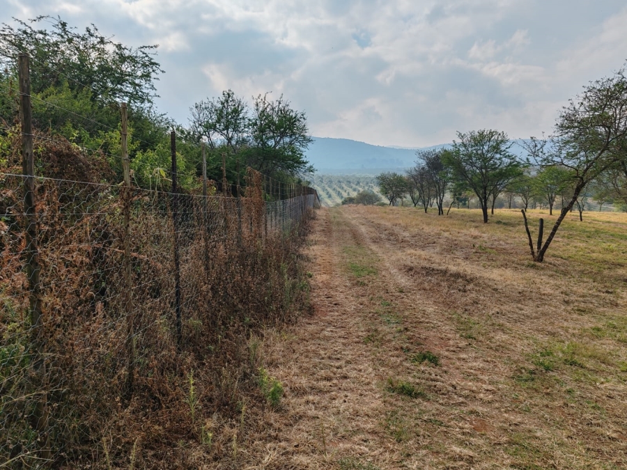 1 Bedroom Property for Sale in Louis Trichardt Limpopo