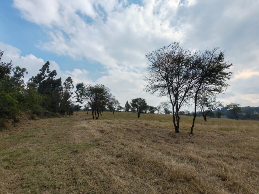 1 Bedroom Property for Sale in Louis Trichardt Limpopo