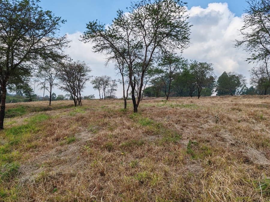 1 Bedroom Property for Sale in Louis Trichardt Limpopo