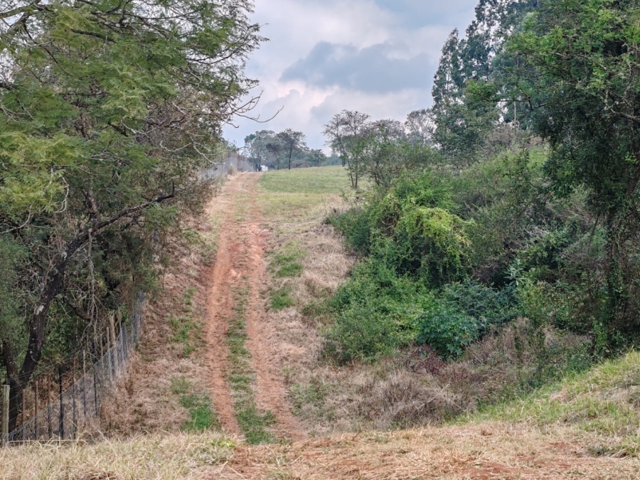 1 Bedroom Property for Sale in Louis Trichardt Limpopo