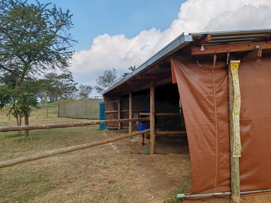1 Bedroom Property for Sale in Louis Trichardt Limpopo