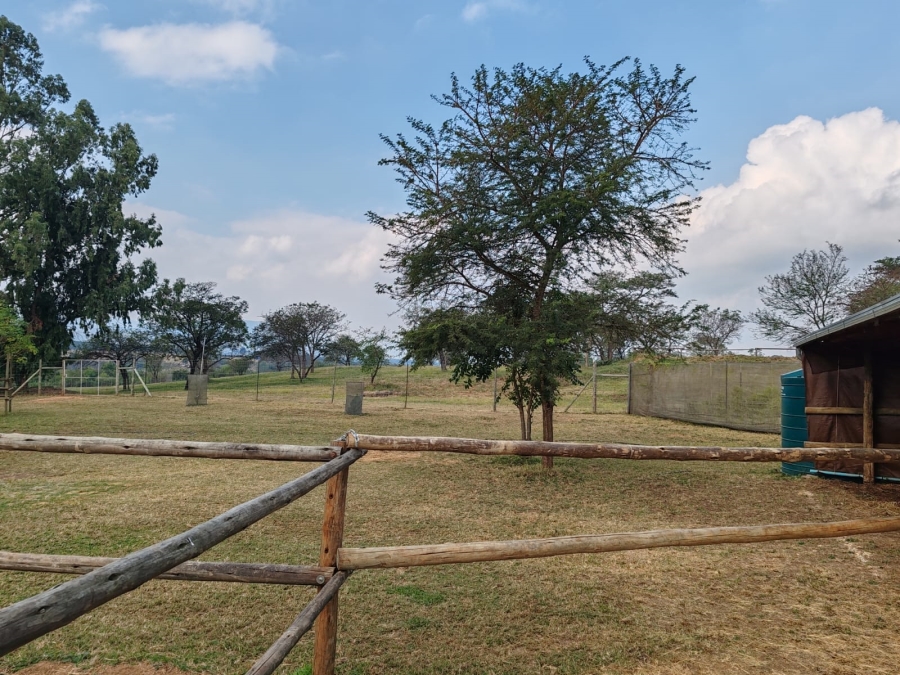1 Bedroom Property for Sale in Louis Trichardt Limpopo