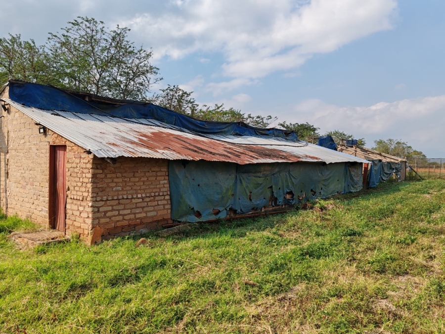 1 Bedroom Property for Sale in Louis Trichardt Limpopo