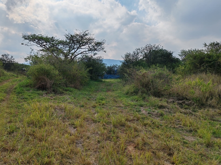 1 Bedroom Property for Sale in Louis Trichardt Limpopo