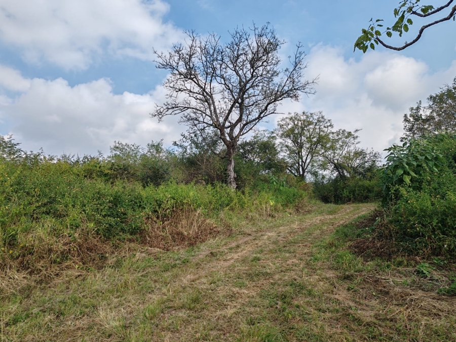 1 Bedroom Property for Sale in Louis Trichardt Limpopo