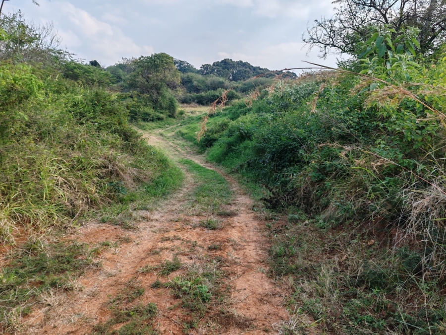 1 Bedroom Property for Sale in Louis Trichardt Limpopo