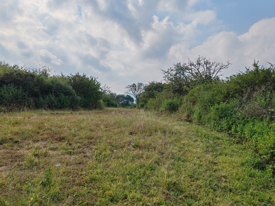 1 Bedroom Property for Sale in Louis Trichardt Limpopo