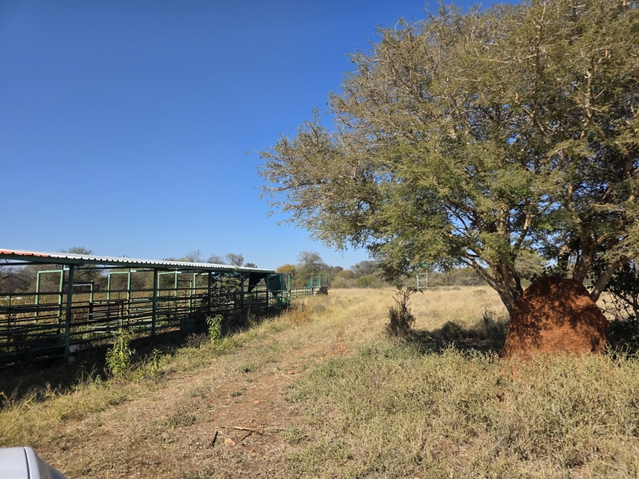 8 Bedroom Property for Sale in Alldays Limpopo