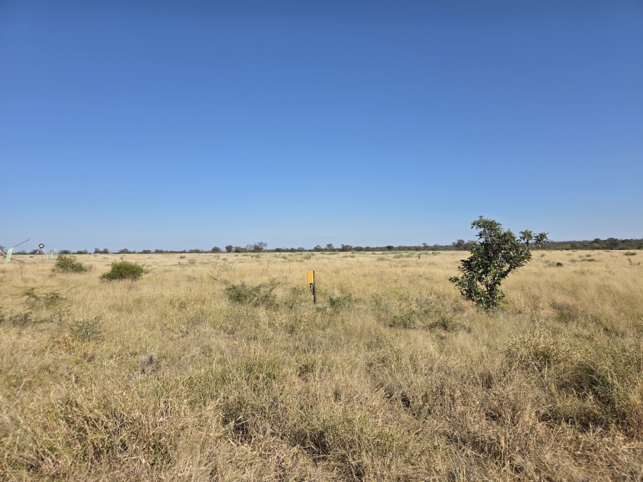 8 Bedroom Property for Sale in Alldays Limpopo