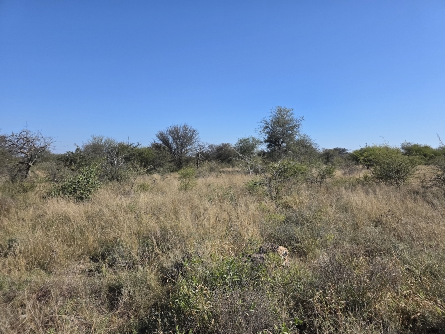8 Bedroom Property for Sale in Alldays Limpopo