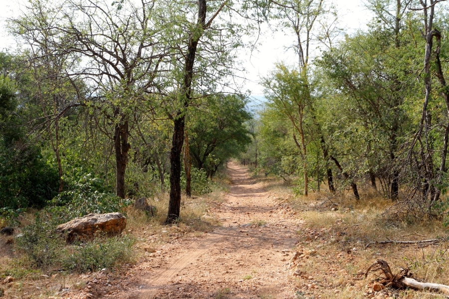 0 Bedroom Property for Sale in Liverpool Limpopo