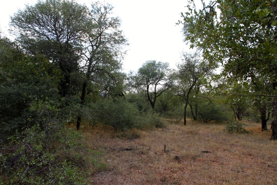 0 Bedroom Property for Sale in Liverpool Limpopo