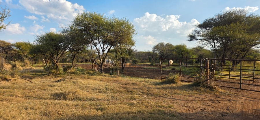 0 Bedroom Property for Sale in Bela Bela Limpopo