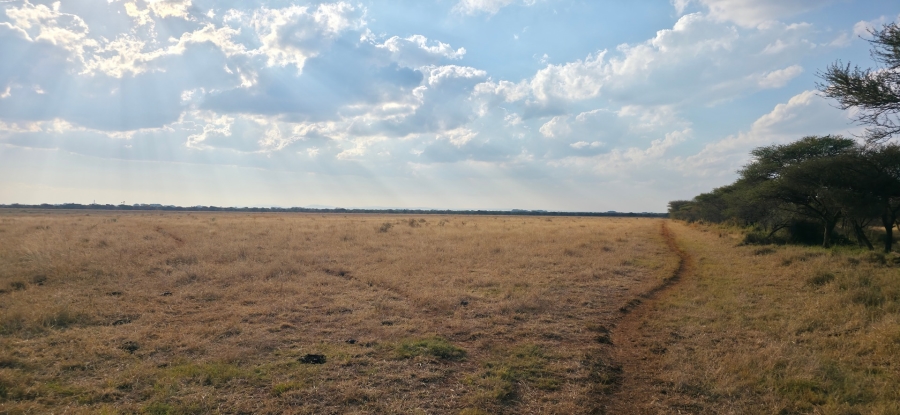 0 Bedroom Property for Sale in Bela Bela Limpopo