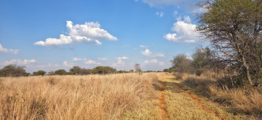 0 Bedroom Property for Sale in Bela Bela Limpopo