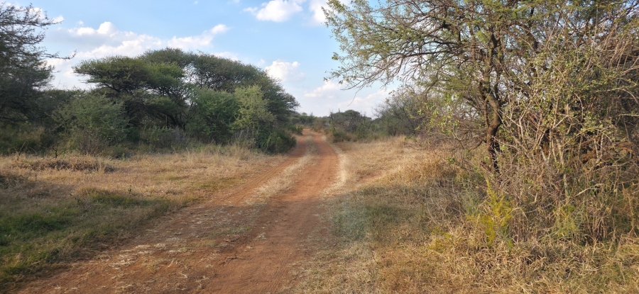0 Bedroom Property for Sale in Bela Bela Limpopo