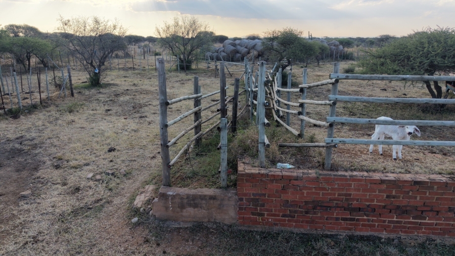 0 Bedroom Property for Sale in Bela Bela Limpopo