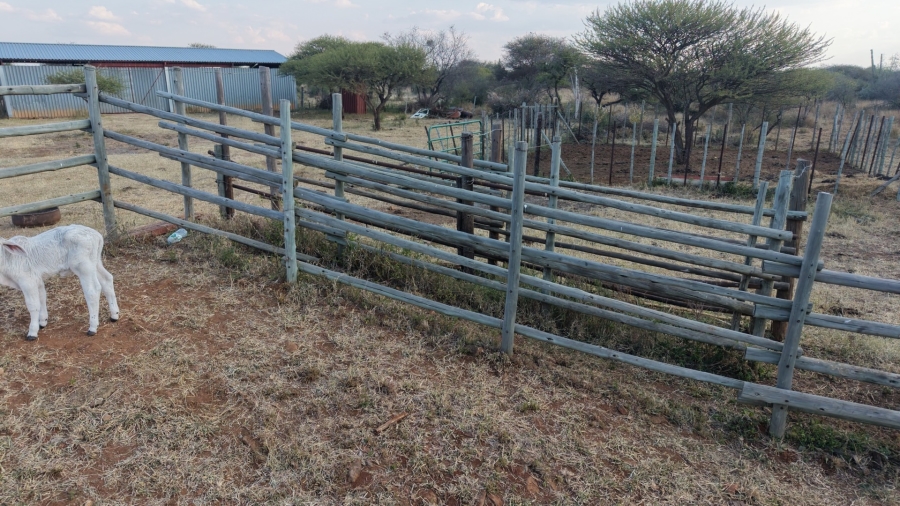 0 Bedroom Property for Sale in Bela Bela Limpopo
