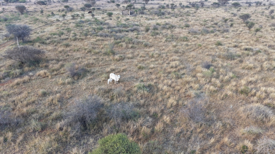 0 Bedroom Property for Sale in Bela Bela Limpopo