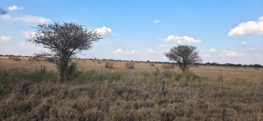 0 Bedroom Property for Sale in Bela Bela Limpopo