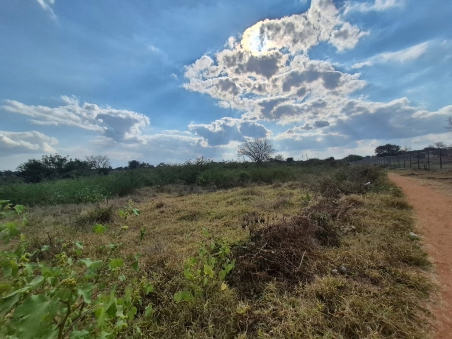 0 Bedroom Property for Sale in Phalaborwa Rural Limpopo