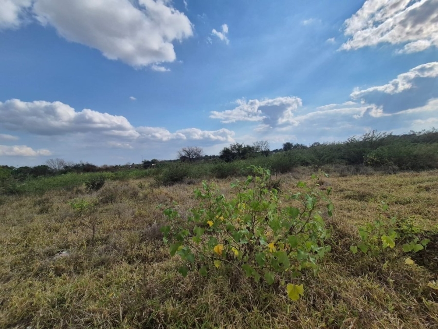0 Bedroom Property for Sale in Phalaborwa Rural Limpopo