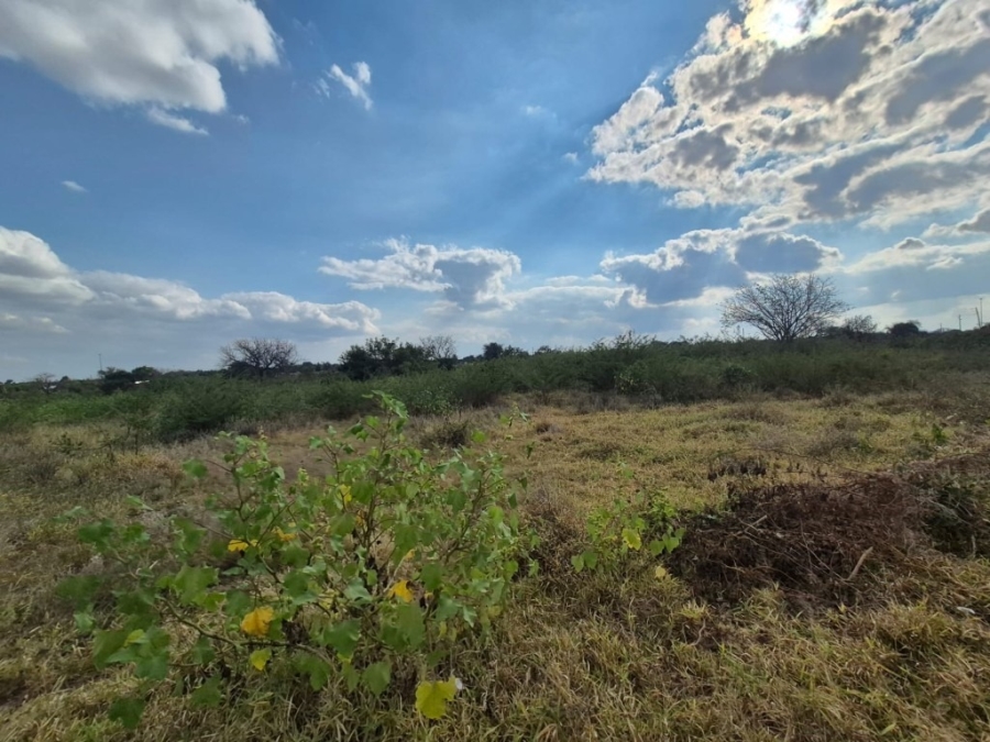 0 Bedroom Property for Sale in Phalaborwa Rural Limpopo